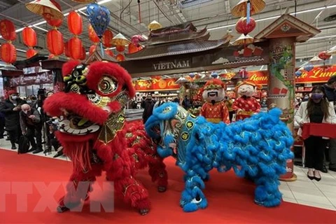 法国家乐福连锁超市首次举行越南春节周活动