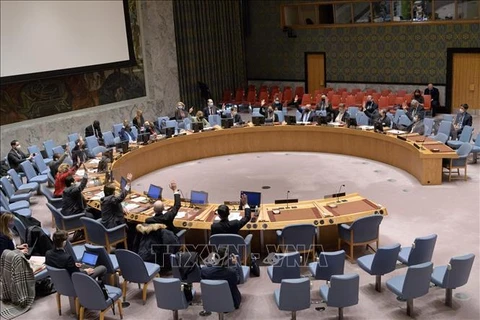 联合国安理会就朝鲜问题召开会议 越南希望各方保持克制并进行对话