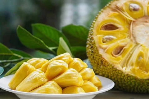 越南促进对澳大利亚出口冷冻菠萝蜜