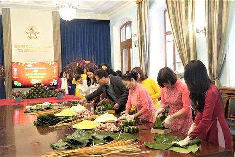 旅居海外越南人社群喜迎新春