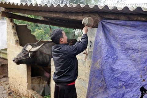 越南北部各省市主动应对危险天气