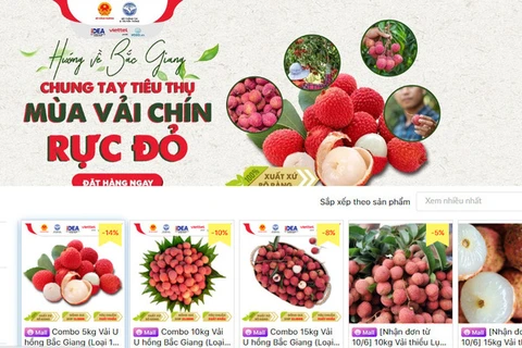 北江省通过电子商务平台促进农产品销售