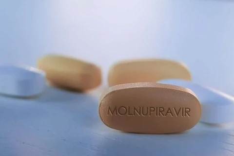 越南卫生部向3种含有莫努匹韦的国产药品发放药品经营许可证
