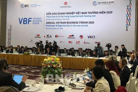 越南企业年度论坛（VBF）在河内召开