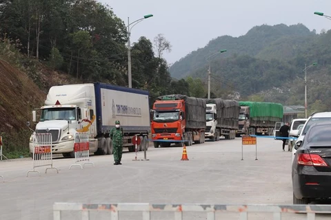 越南海关总署：北部边境口岸货物通关仍受限制