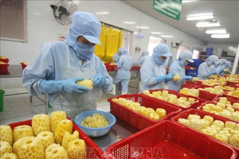 越南蔬果出口企业必须主动扩大出口市场
