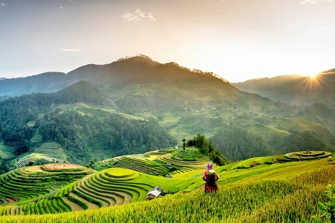 越南仍然是吸引国际游客的目的地