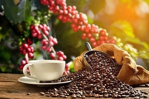 咖啡出口价格涨幅超过31%