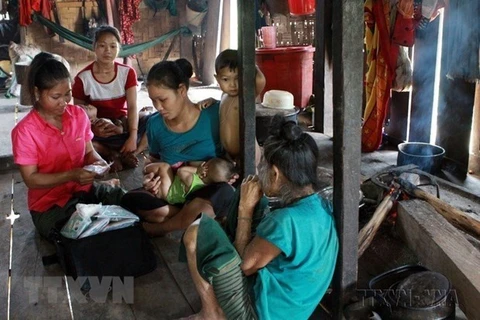 越南针对少数民族妇女的生殖健康APP正式上线