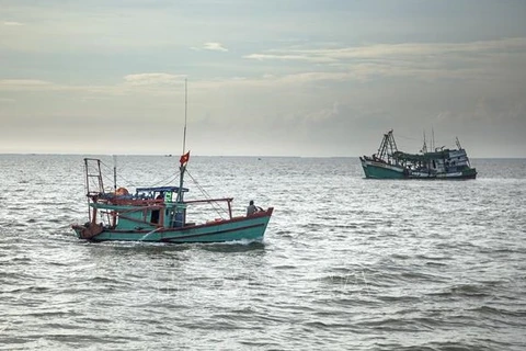 越南可持续渔业：通过卫星管理渔船 致力解除 IUU “黄牌警告”