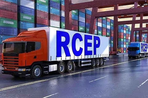 日本和柬埔寨同意全面推进落实RCEP协定