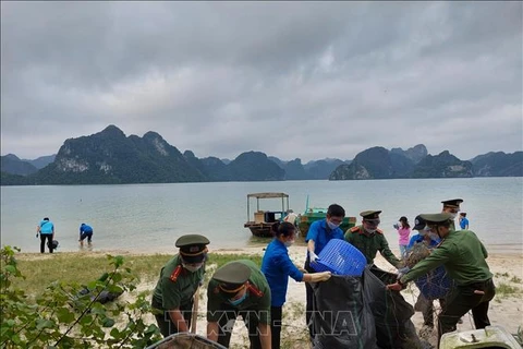 广宁省青年携手清理海洋环境