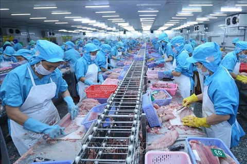 越南对欧盟的查鱼出口经连续多个月停滞或深度下滑后反弹回升