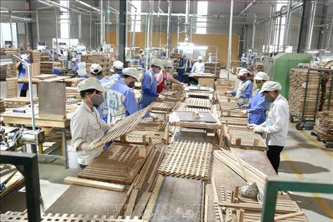 为越南木材行业制定长期的发展战略