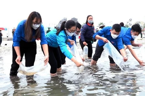 广宁省在拜子龙湾放养230万只水产苗种