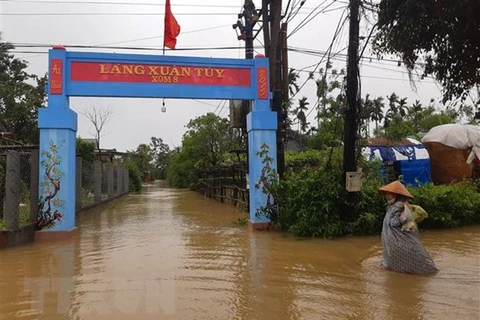 越南中部与西原地区主动应对自然灾害