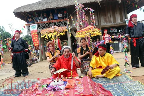 越南义安省泰族同胞的象汗节