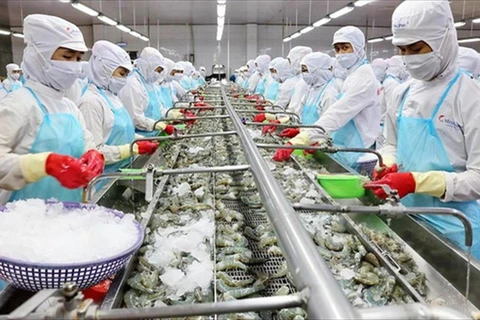 加强水产资源保护修复 促进越南渔业可持续发展