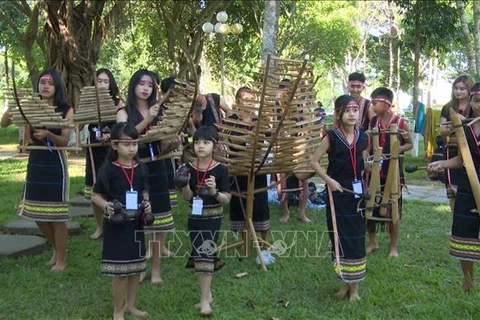 嘉莱省少数民族文化节为增强民族大团结做出贡献