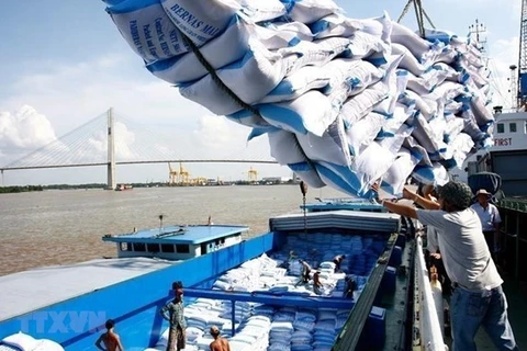 《越南与欧盟自由贸易协定》推动越南大米对欧盟出口增长