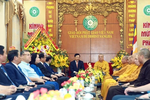 政府副总理范平明佛诞节之际走访慰问越南佛教协会领导