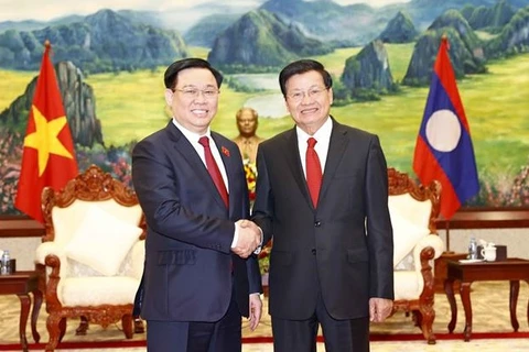 越南国会主席王廷惠礼节性拜会老挝人民革命党中央总书记、国家主席 