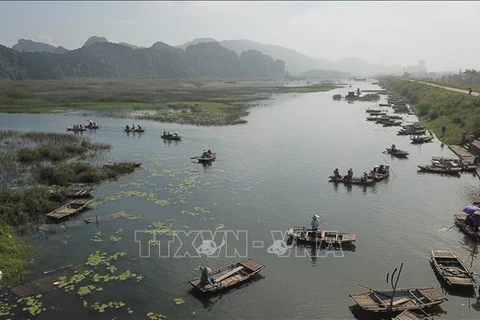 5·22生物多样性日： 携手修复生态系统