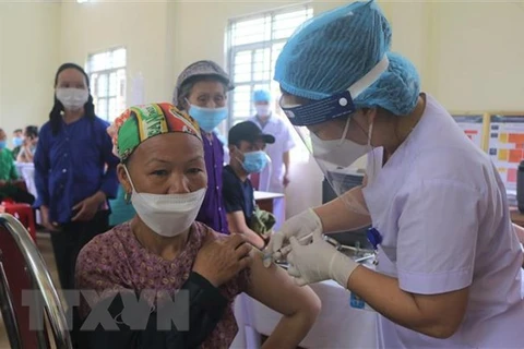 5月23日越南新增确诊病例1179例 新增死亡1例