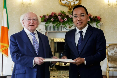 阮黄龙大使向爱尔兰总统希金斯递交国书