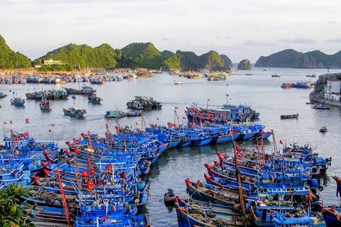 力争到2050年全国有184个渔港