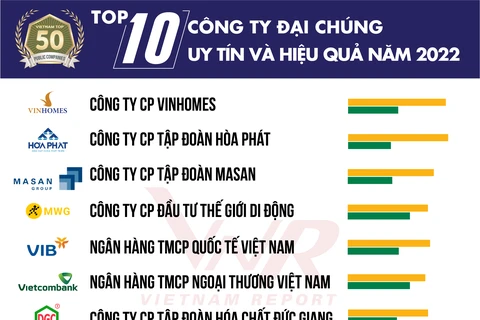 2022年越南诚信高效上市公司50强对外公布