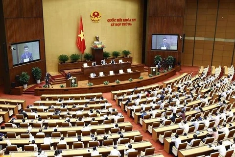 越南第十五届国会第三次会议：对农业与农村发展领域进行质询