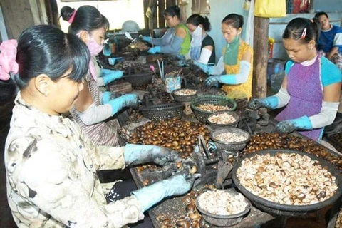 越南为企业加强对柬埔寨市场的出口提供协助