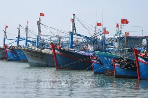 解除欧盟“黄牌”警告：支持企业打击非法捕捞