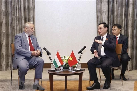 越南国会主席王廷惠会见匈牙利-越南友好协会领导