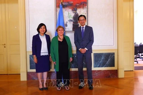 越南为联合国人权理事会活动中的对话和合作做出有效的贡献