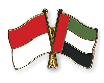 印尼促进与阿联酋的合作关系
