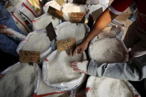印尼宣布将早日实现大米自给自足