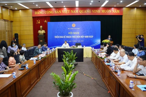 越南企业尽最大努力 利用 RCEP 带来的机会