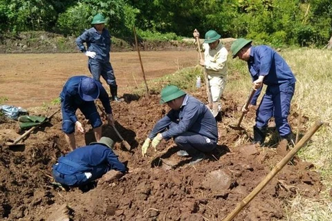 5具烈士遗骸收迁安葬工作在广治省举行