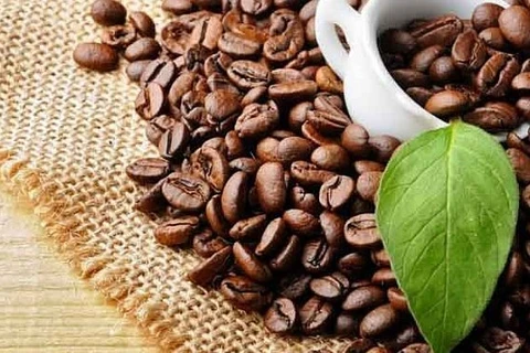 今年上半年越南咖啡出口额达23亿美元