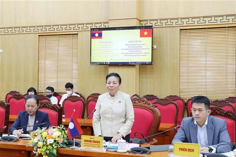 老挝国会代表团访问越南太原省