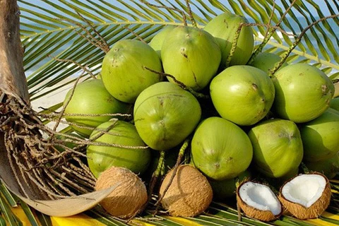槟椥省着力扩大椰汁制品的出口