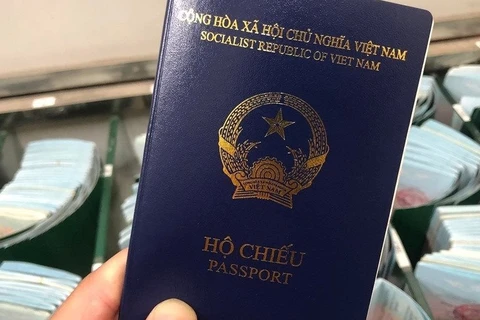 越南外交部就德方暂停向越南新普通护照持有者签发签证事宜做出回应