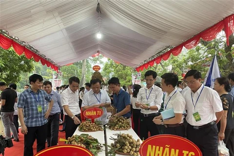 越南兴安拓宽龙眼和农产品的销售渠道