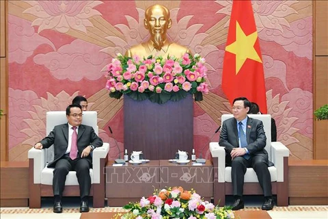 越南国会主席王廷惠会见老挝国家审计署审计长