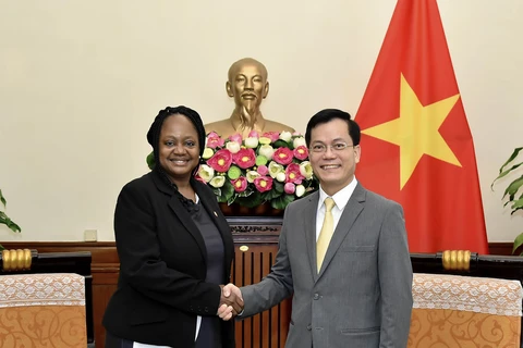 越南与美国推动全面伙伴关系走向深入、高效、务实发展