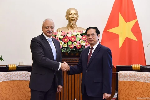进一步推进越南与埃及在多方面的合作关系