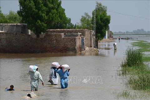 越南国会主席王廷惠就巴基斯坦洪灾向该国参众两院领导致慰问电