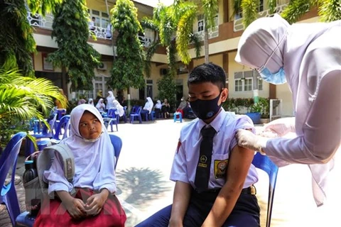 印度尼西亚考虑批准Indovac新冠疫苗